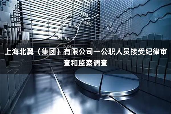 上海北翼（集团）有限公司一公职人员接受纪律审查和监察调查