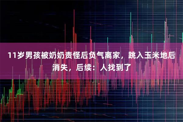 11岁男孩被奶奶责怪后负气离家，跳入玉米地后消失，后续：人找到了