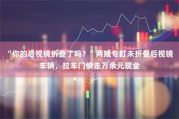 “你的后视镜折叠了吗？”两贼专盯未折叠后视镜车辆，拉车门偷走万余元现金
